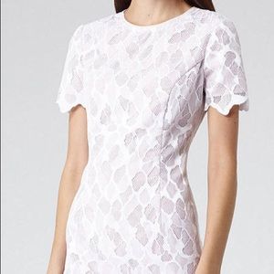 Reiss Anise Fitted Dress NWT